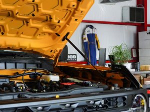 Ford Bronco Hood Strut Kit - Carbon Steel - Black